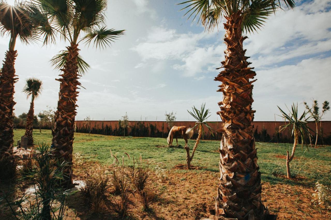 Aghmat Lodge Guest House Tamazouzte  Exterior foto